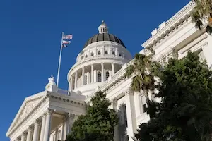 Low-angle view of the California State Capitol dome and facade, with white Corinthian columns, an American flag and California state flag on a pole in the foreground, palm trees and other trees along the base of the building, against a clear blue sky.