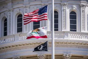 California Enacts Motor Vehicle Glass Act