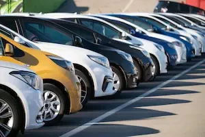 A row of used cars of varying colors parked closely together in a dealership lot.