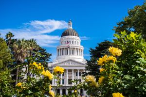 California-2025-legislative-session-collision-repair