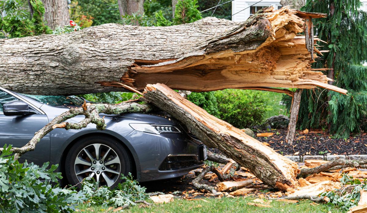 Hurricane-Helene-damaged-vehicles