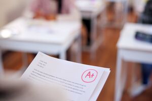 Insurer-Report-Card