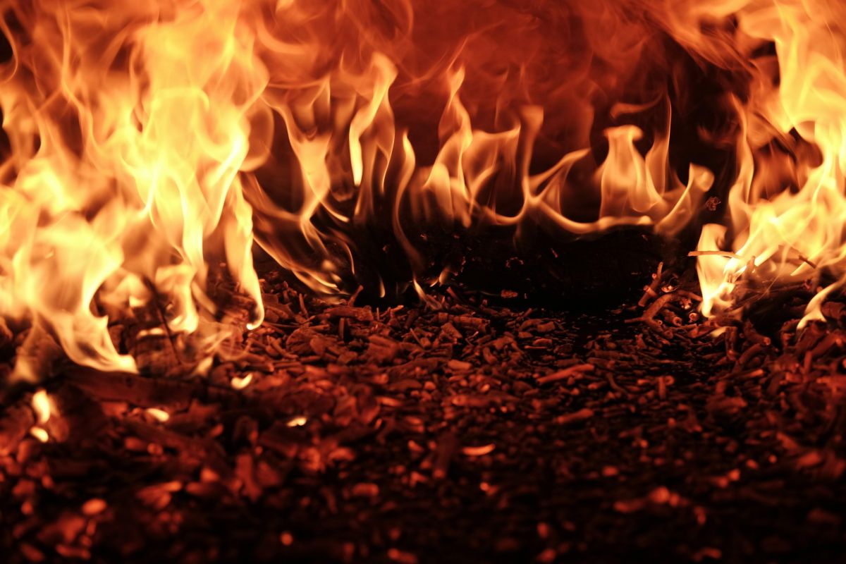 CIF-donations-automakers-support-wildfires