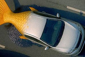 QCG’s Multi-Pronged Marketing: Branding, Build Pipeline, Bring Business to Body Shops