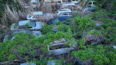 On The Lighter Side: Fukushima Cars Are Still Rotting